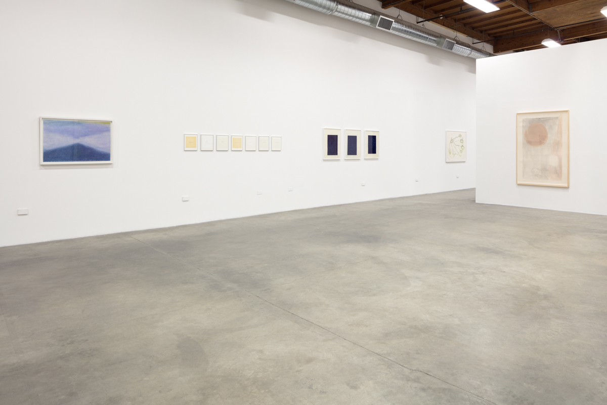 Installation view, That Which Emerges, 2018, The Box LA.