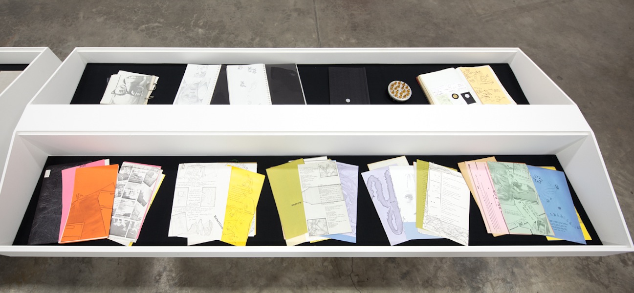 XEROX: Barbara T. Smith 1965-66
Coffins Installation View 
2013
Photo: Fredrik Nilsen