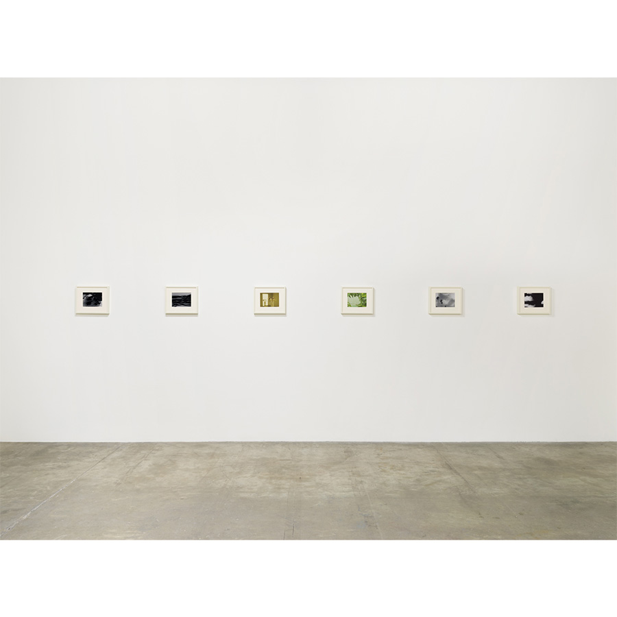 Courtesy of the artist and The Box LA. Photo Fredrik Nilsen Studio.