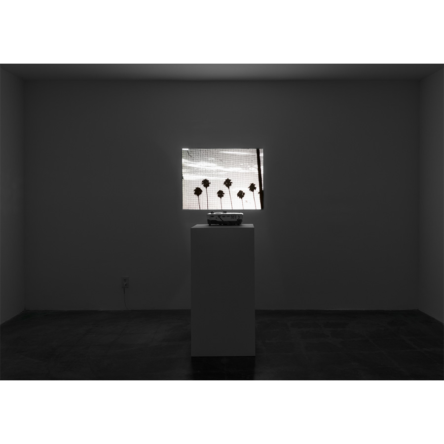 Courtesy of the artist and The Box LA. Photo Fredrik Nilsen Studio.