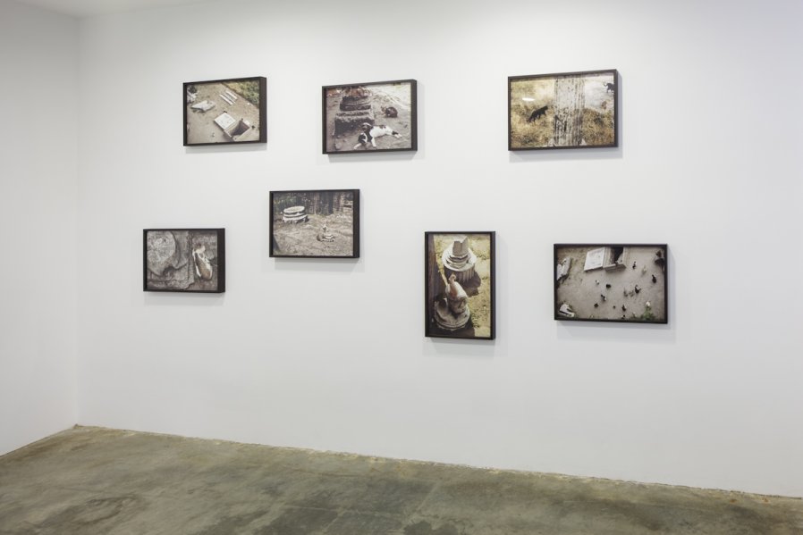 Largo Argentina (Rome Cats)
1968/2012 
Installation View
Photo: Fredrik Nilsen