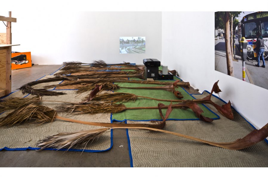 Dog, Bus, Palm Tree,
2011
Photo: Fredrik Nilsen