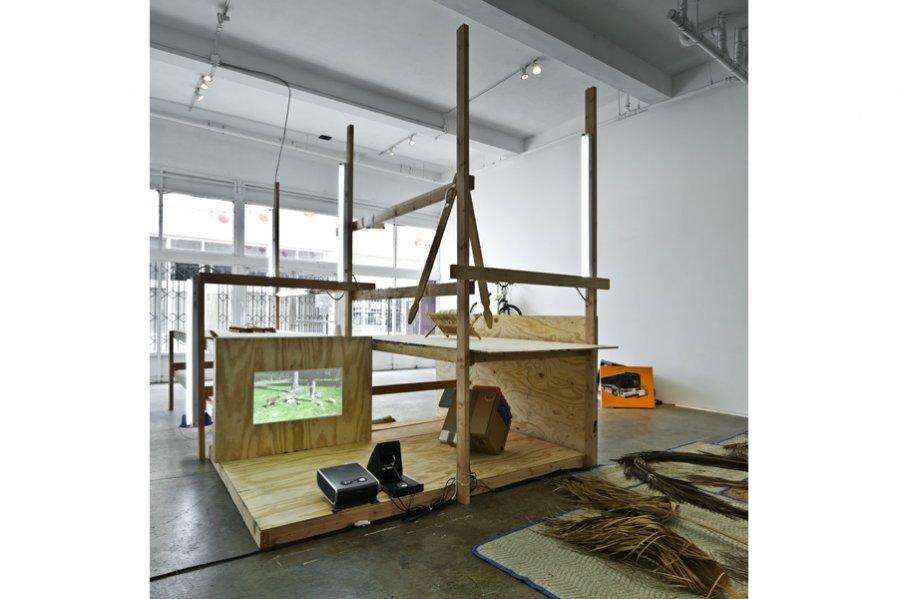 Dog, Bus, Palm Tree,
2011
Photo: Fredrik Nilsen