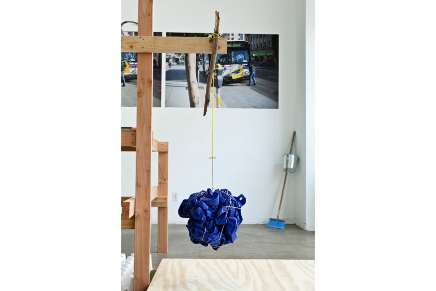 Dog, Bus, Palm Tree,
2011
Photo: Fredrik Nilsen