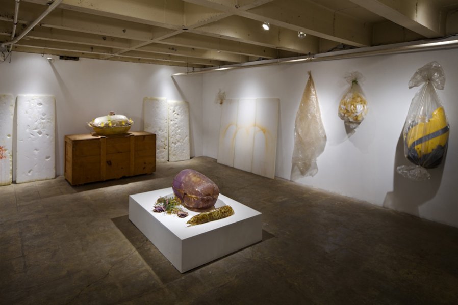 The Celebration of the Holy Squash
1971
Installation View
Photo: Fredrik Nilsen