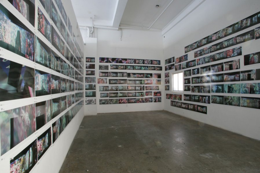 Spandau Parks
2007
Installation View
Image Courtesy of The Box