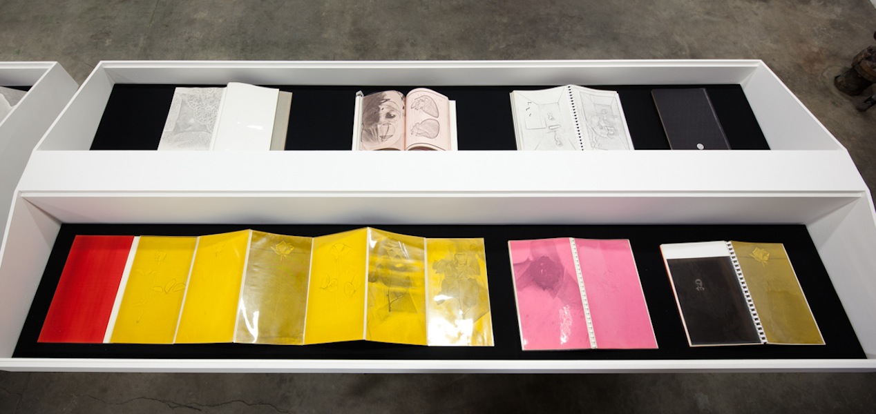 XEROX: Barbara T. Smith 1965-66
Coffins Installation View
2013
Photo: Fredrik Nilsen
