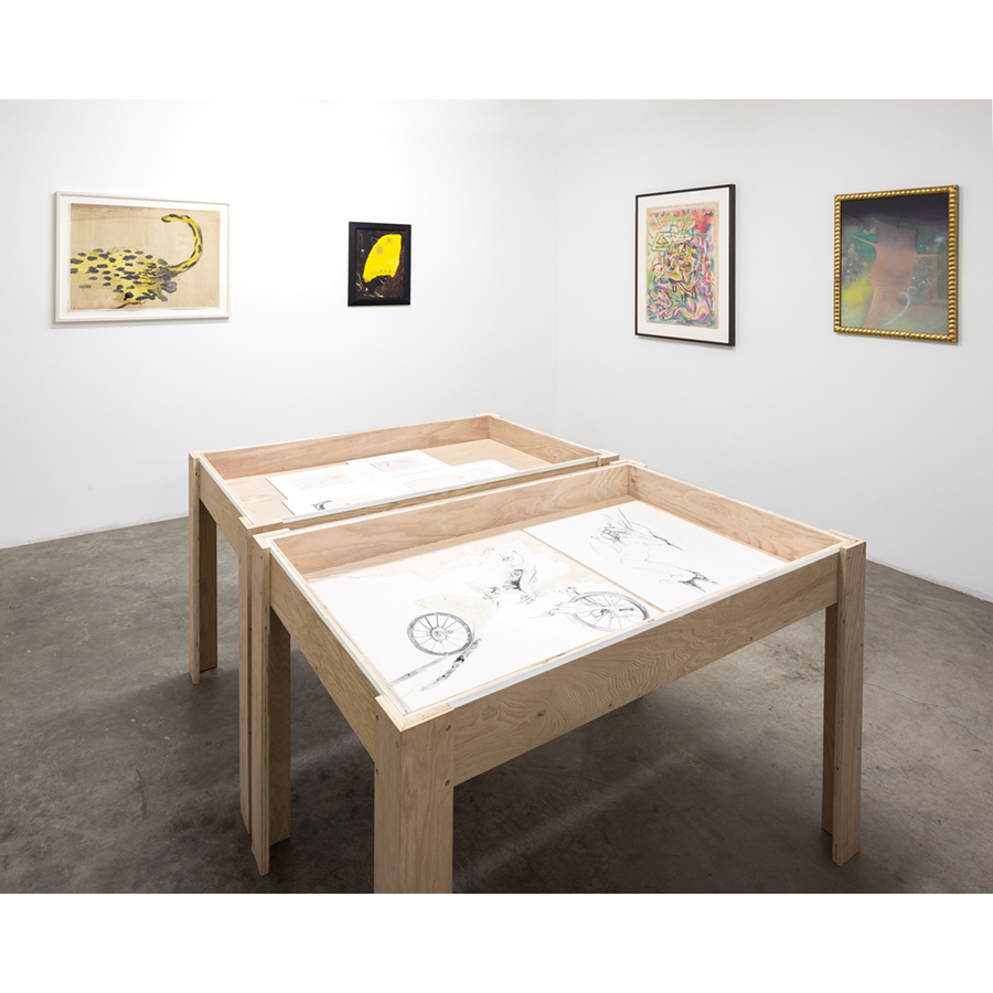 Painters of Modern Life
Curated by Mitchell Algus
Installation View 
2014
Photo: Fredrik Nilsen