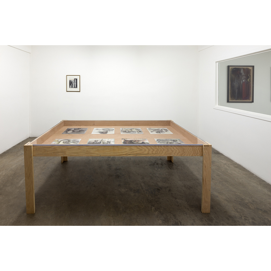 Painters of Modern Life
Curated by Mitchell Algus
Installation View 
2014
Photo: Fredrik Nilsen