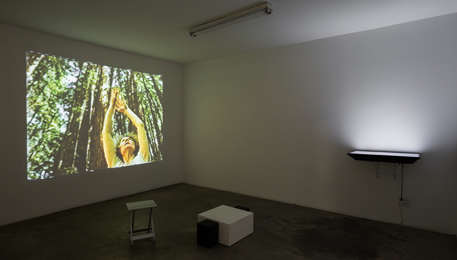 Installation view
2015
Photo: Fredrik Nilsen Studio