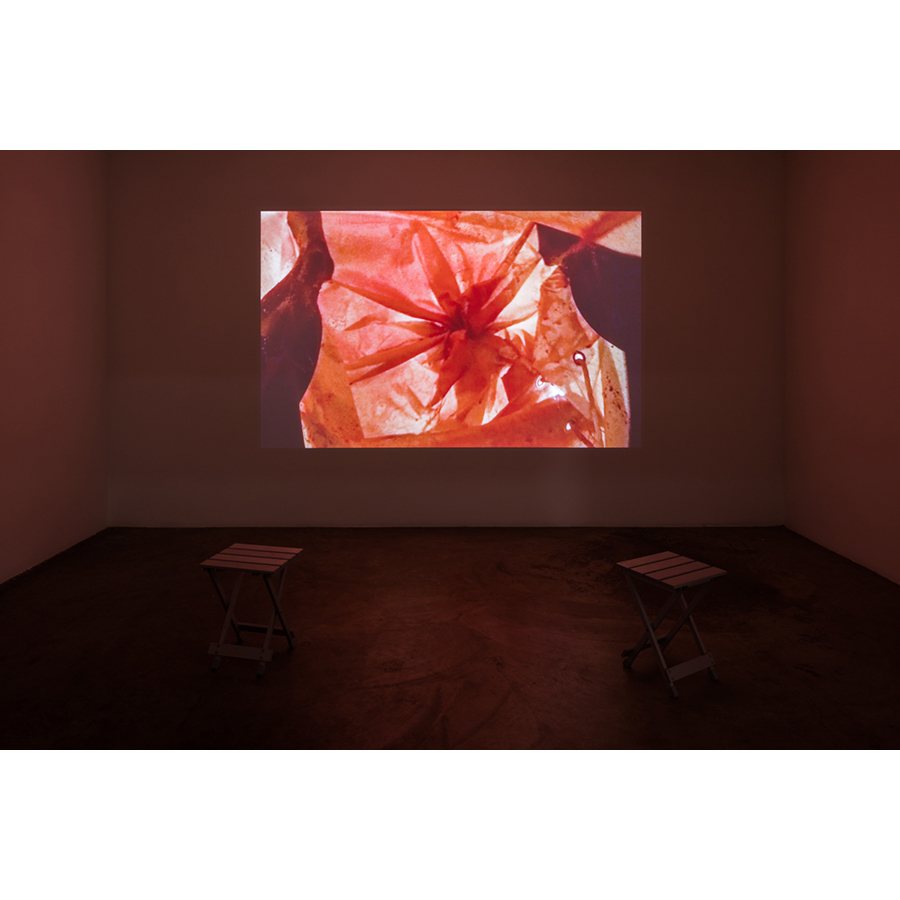 Naotaka Hiro 
Peaking, 2016
installation view
HD video, 9:20

Photo: Fredrik Nilsen