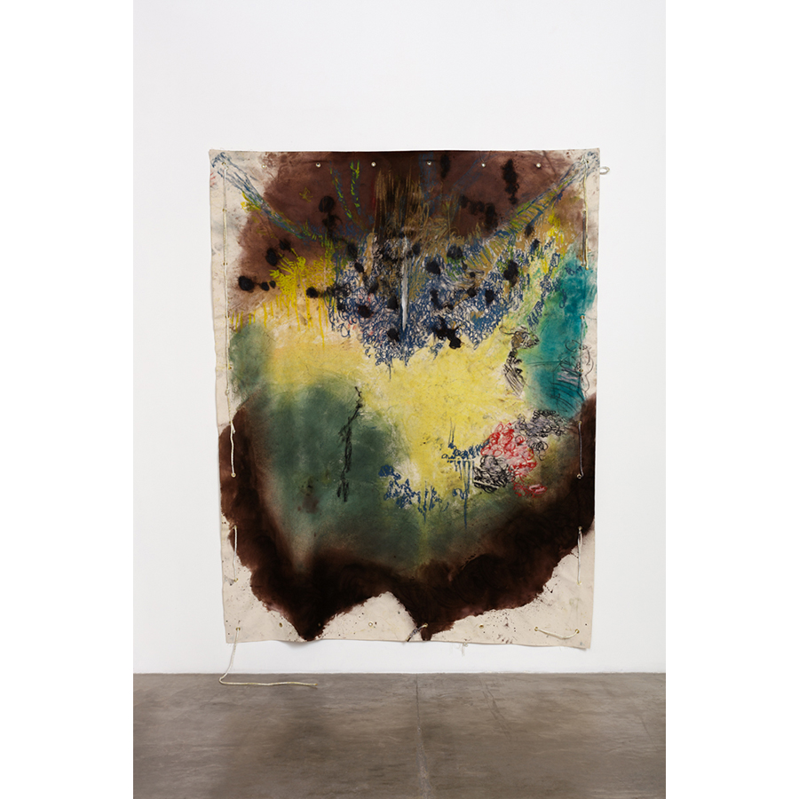 Naotaka Hiro
Untitled (Spread)
2016
Canvas, Fabric dye, Oil Pastel, Rope, Grommets
9 x 7 ft