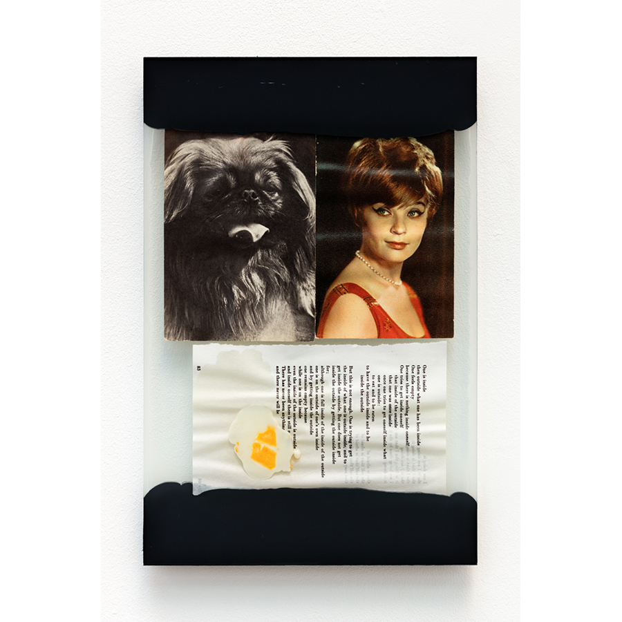 The Walk
2017
Mixed media: assorted print ephemera, glass sheets, stains with either food, black primer, adhesive, silicone caulk.
13 3/4 x 9 inches

Photo: Fredrik Nilsen Studio.