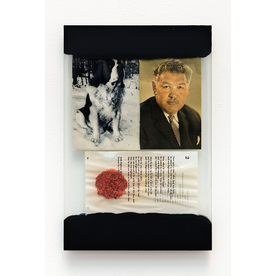 The Walk
2017
Mixed media: assorted print ephemera, glass sheets, food, black primer, adhesive, silicone caulk.
13 3/4 x 9 inches

Photo: Fredrik Nilsen Studio.