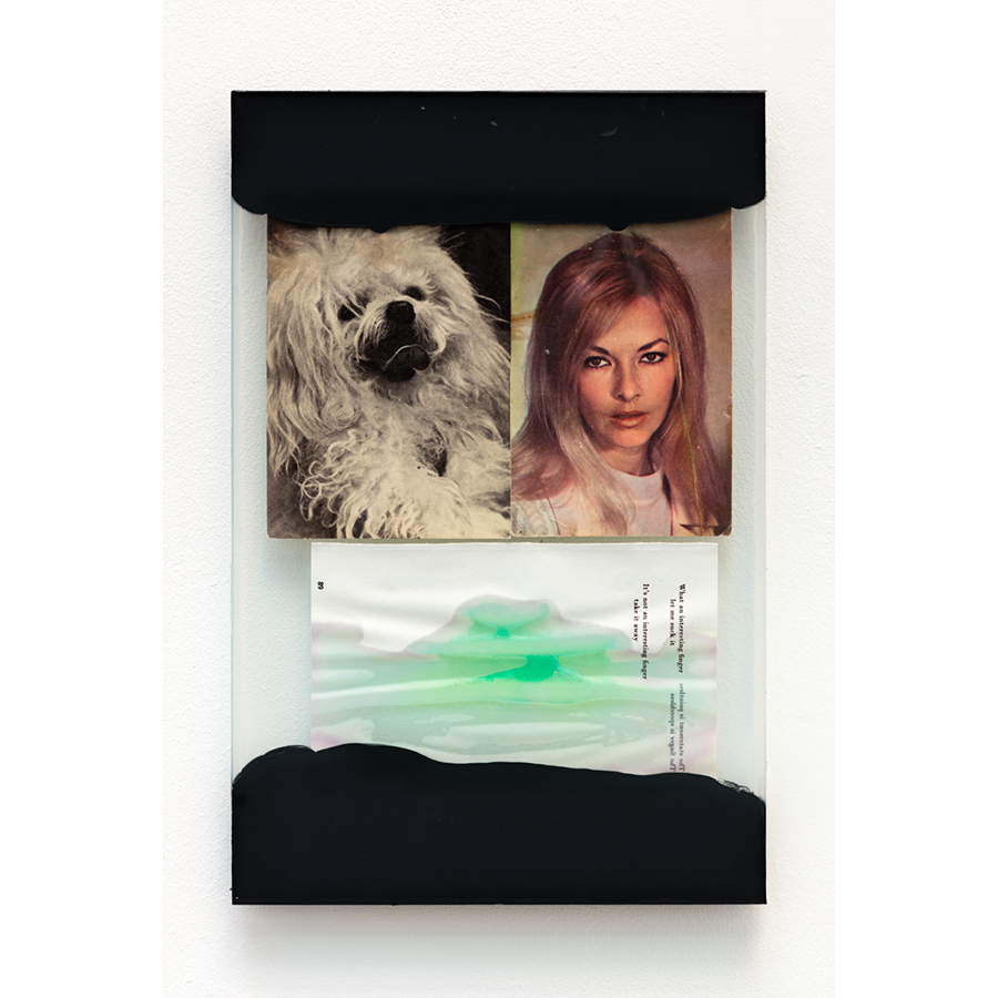 The Walk
2017
Mixed media: assorted print ephemera; glass sheets, liquid soap, black primer, adhesive, silicone caulk.
13 3/4 x 9 inches

Photo: Fredrik Nilsen Studio.