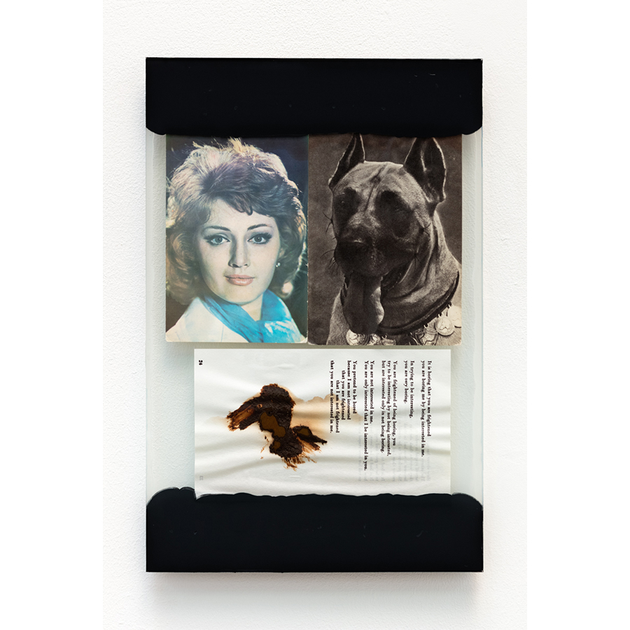 The Walk
2017
Mixed media: assorted print ephemera, glass sheets, excrement, black primer, adhesive, silicone caulk.
13 3/4 x 9 inches

Photo: Fredrik Nilsen Studio.