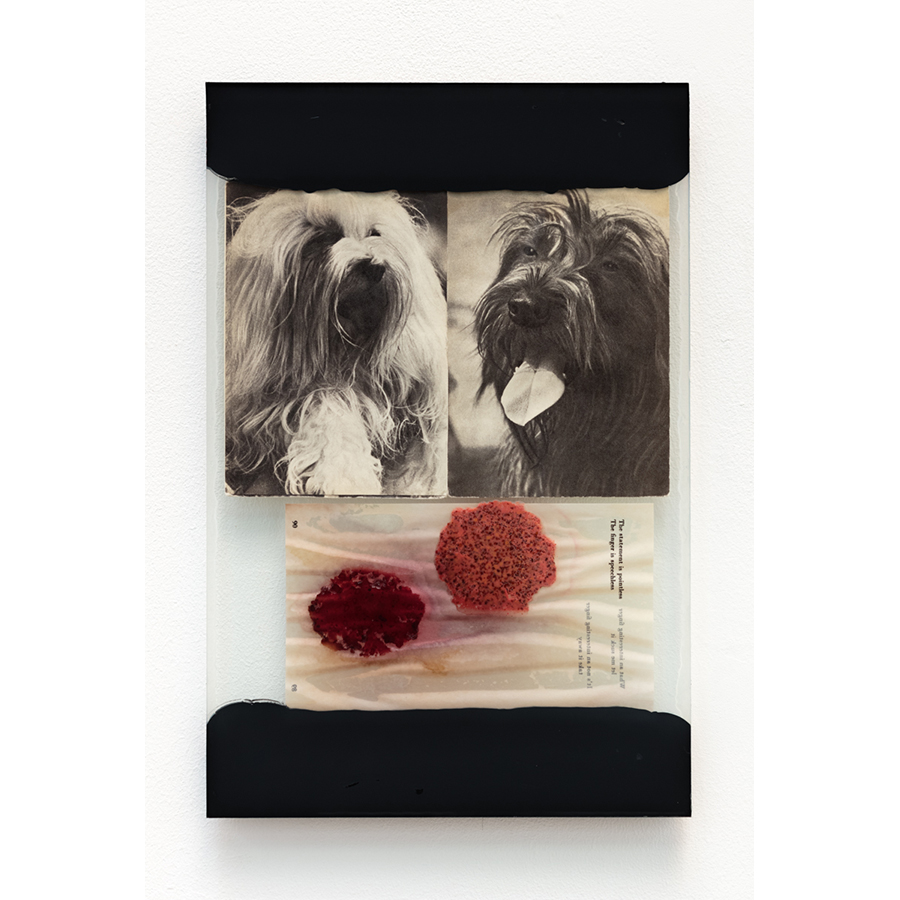 The Walk
2017
Mixed media: assorted print ephemera, glass sheets, food, black primer, adhesive, silicone caulk.
13 3/4 x 9 inches

Photo: Fredrik Nilsen Studio.