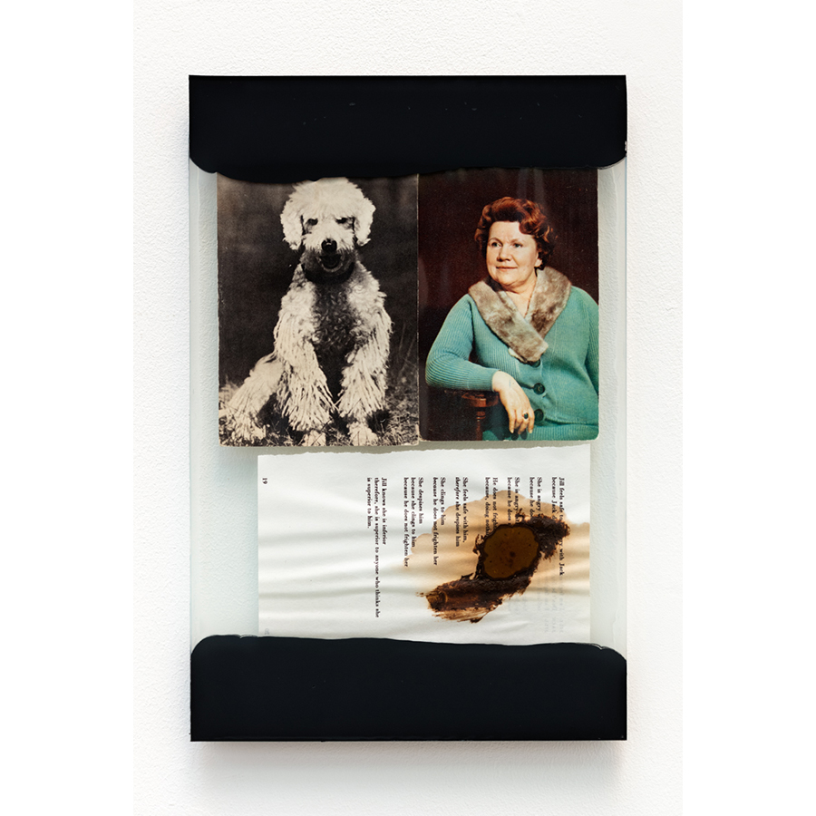 The Walk
2017
Mixed media: assorted print ephemera, glass sheets, excrement, black primer, adhesive, silicone caulk.
13 3/4 x 9 inches

Photo: Fredrik Nilsen Studio.