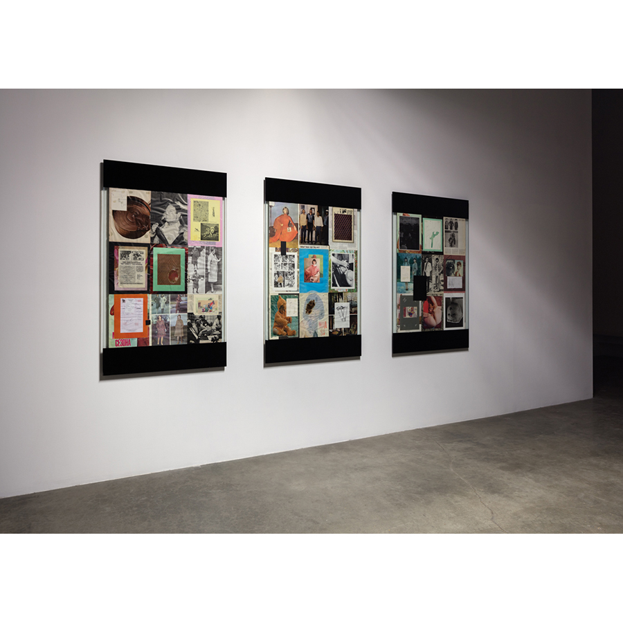 Installation view
Stalemate
2017
Mixed media: assorted print ephemera; glass sheets; stains with either foie gras, excrement or liquid soap; ink drawings; plastic bag; enamel paint; black primer, adhesive, silicone caulk, wood strainer.Â 
Each Panel: 52 x 33 x 1 1/2 inches
Photo: Fredrik Nilsen Studio.