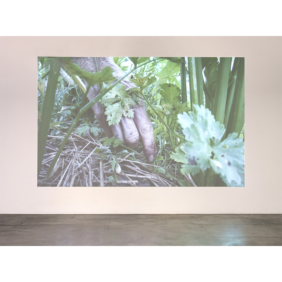 Simone Forti, Weeding Steve and Lisa's Garden 2,  2019. Photo by: Fredrik Nilsen Studio. 