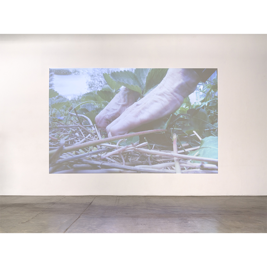 Simone Forti, Weeding Steve and Lisa's Garden 1, 2019. Photo by: Fredrik Nilsen Studio.