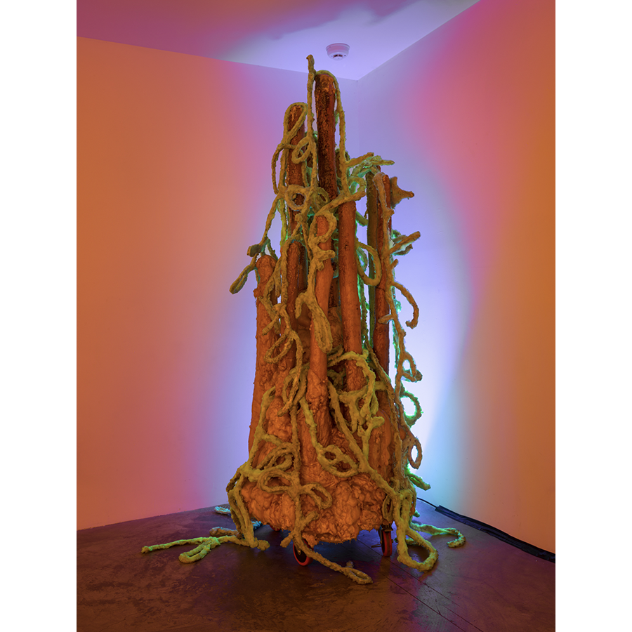 Corazón del Sol, Harlequin Scrawl, 2018. Photo by: Fredrik Nilsen Studio.