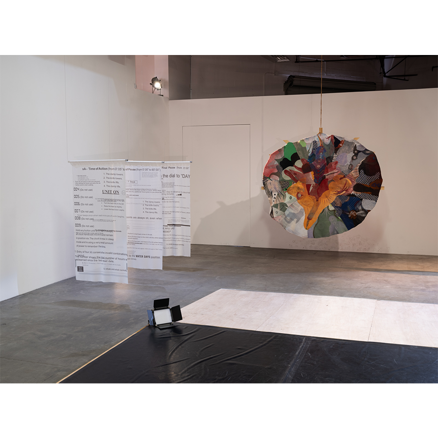 “Knees, Schools, Urges” installation view, The Box LA, 2022. Photo by: Fredrik Nilsen Studio.