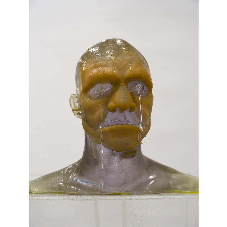 Courtesy of the artist and The Box LA. Photo Fredrik Nilsen Studio.