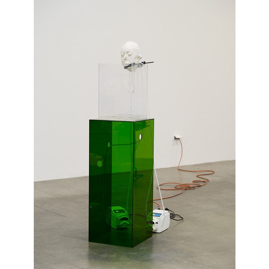 Courtesy of the artist and The Box LA. Photo Fredrik Nilsen Studio.