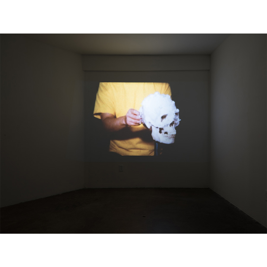 Courtesy of the artist and The Box LA. Photo Fredrik Nilsen Studio.