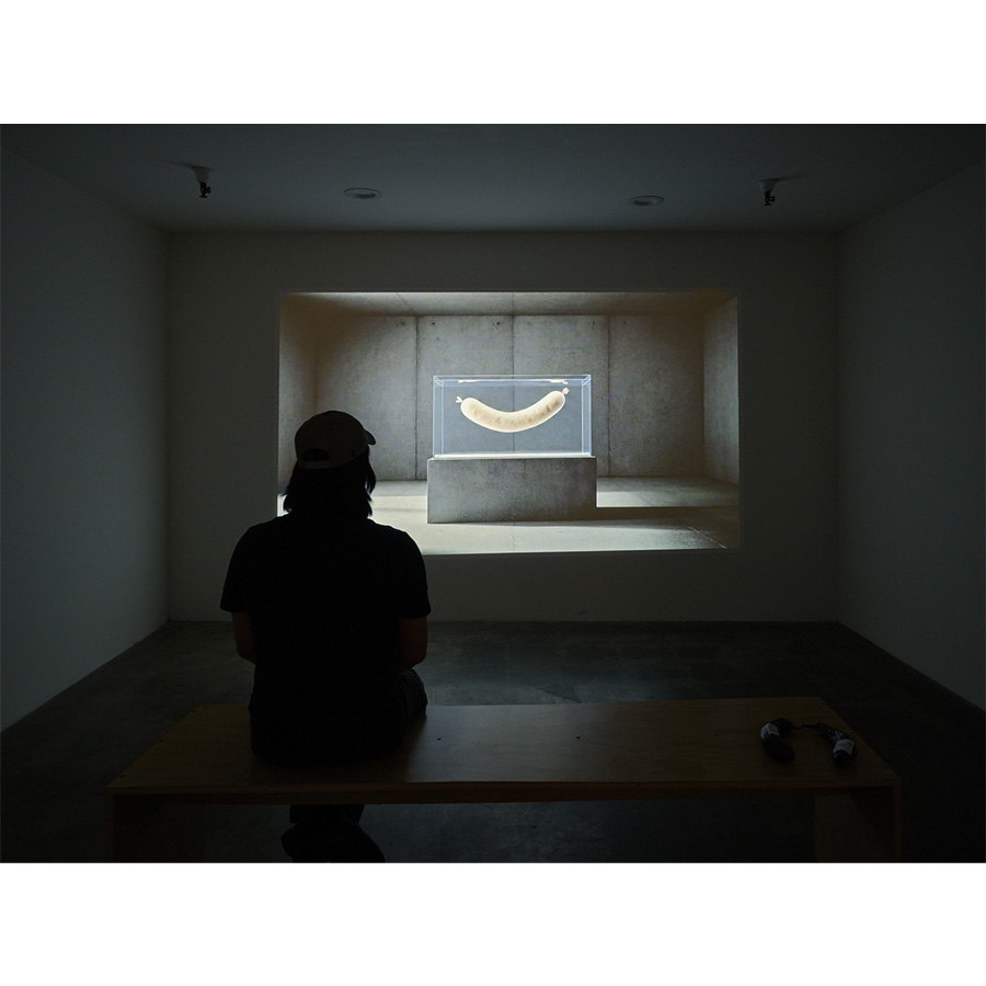 Installation view of