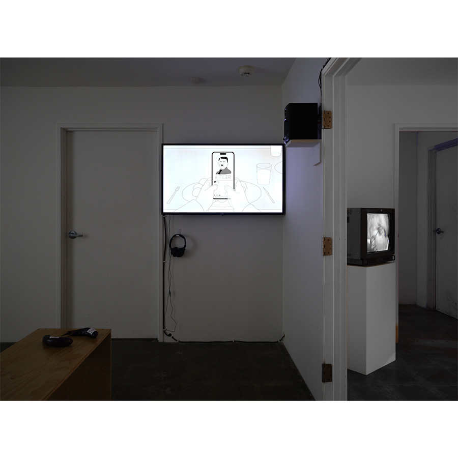 Installation view of