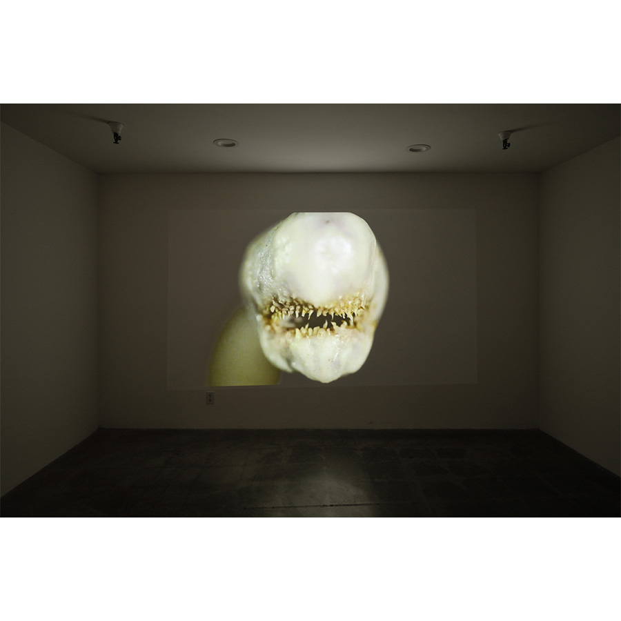 Installation view of